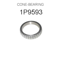 1P9593